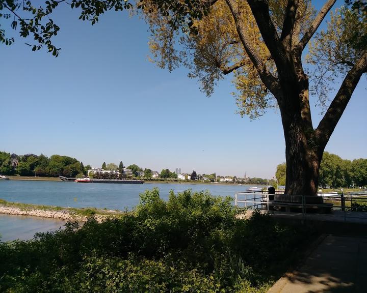 Weinhaus am Rhein